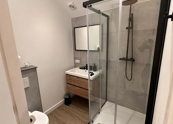 Appartement Luxe Pas Gerenoveerd Monumentaal Maastricht